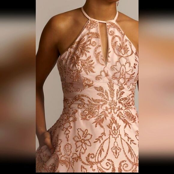 Gorgeous 15 Roses pink dress with gold overlay design NWT - Picture 3 of 10